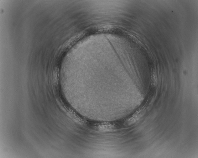 X0000066540468200604071646