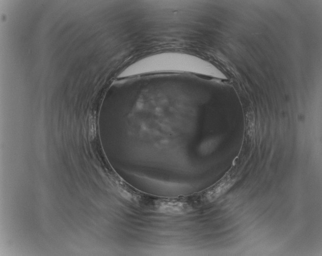 X0000066540471200604071646