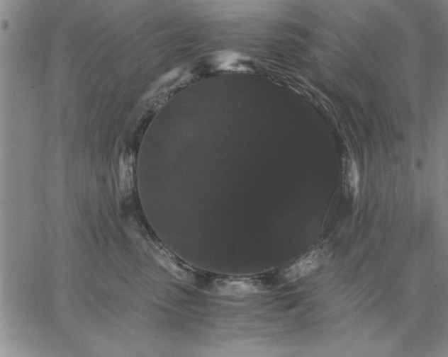 X0000066540475200604071646