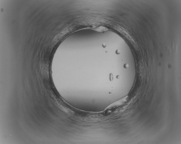 X0000066540489200604071645