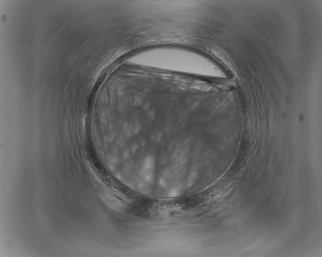 X0000066540491200604071645
