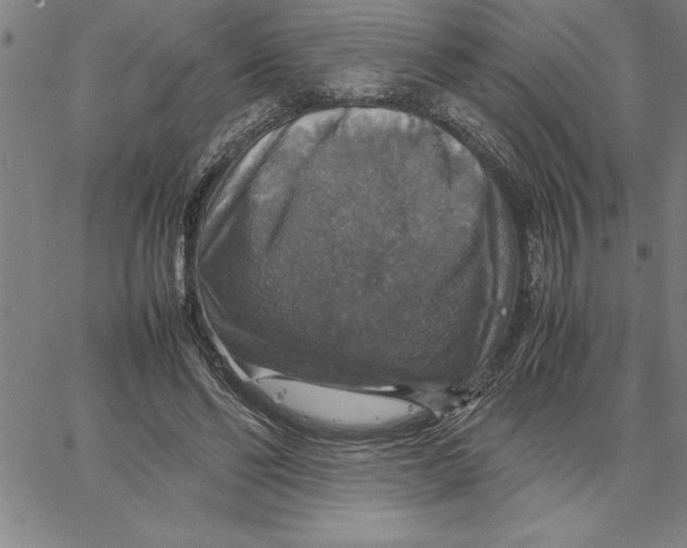X0000066540494200604071645