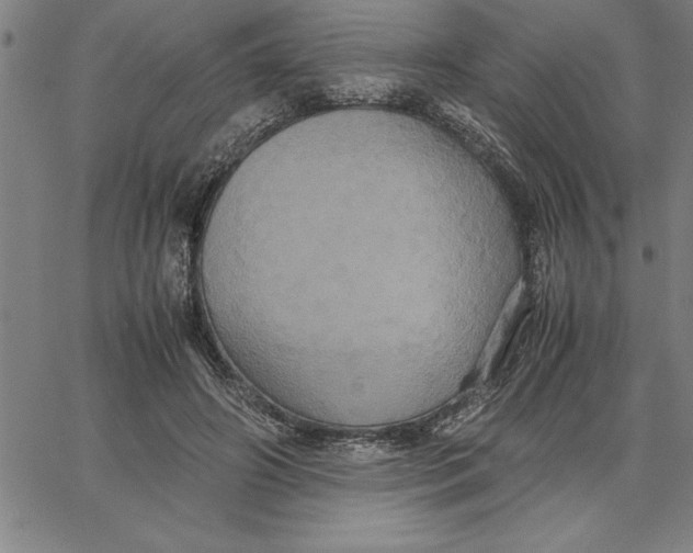 X0000066540498200604071645