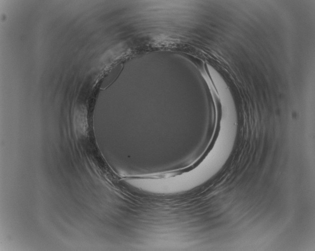 X0000066540508200604071645