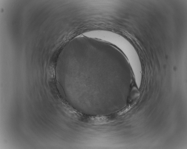 X0000066540517200604071645