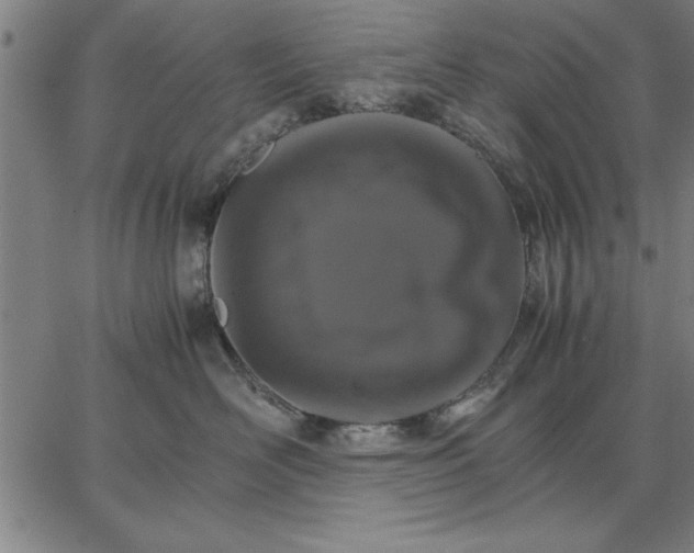 X0000066540526200604071645