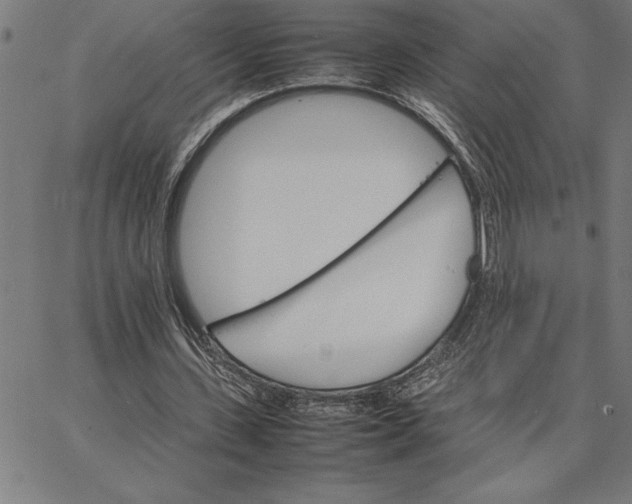 X0000066540531200604071644