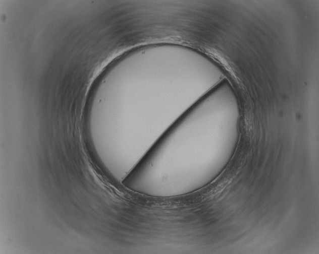 X0000066540532200604071644
