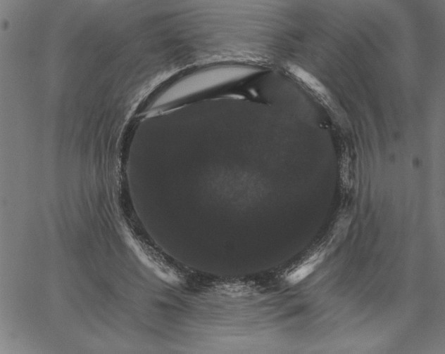 X0000066540540200604071644
