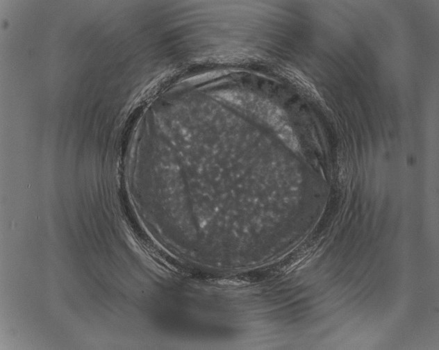 X0000066540542200604071644
