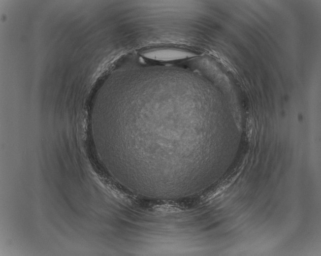 X0000066540544200604071644