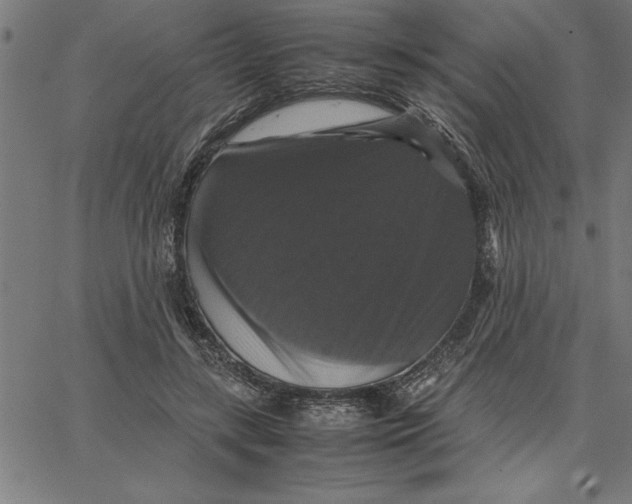 X0000066540547200604071644