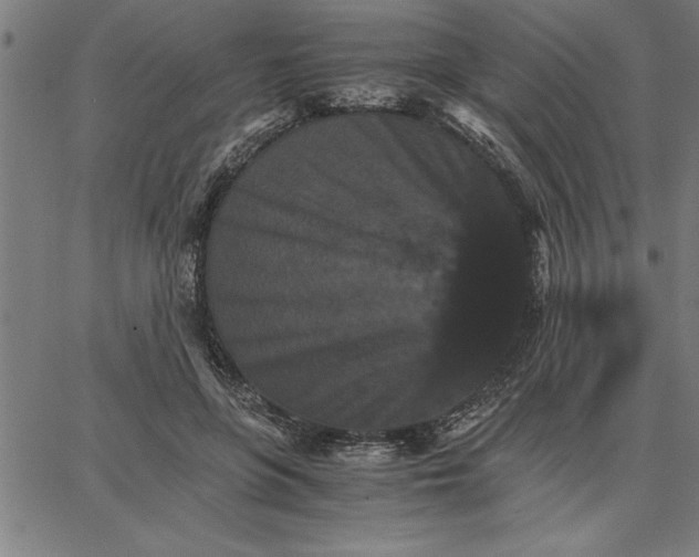 X0000066540551200604071644
