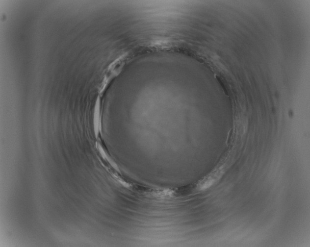 X0000066540576200604071645