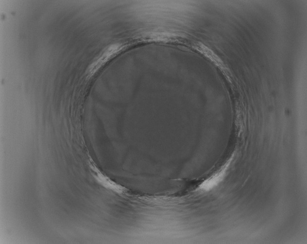X0000066540577200604071644