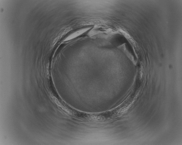 X0000066540585200604071644