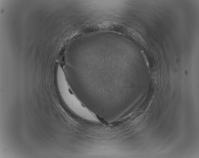 X0000066540593200604071644