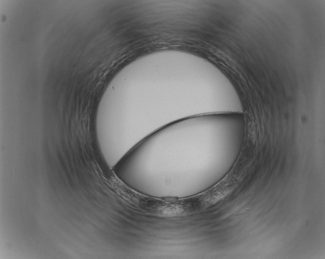 X0000066540604200604071644