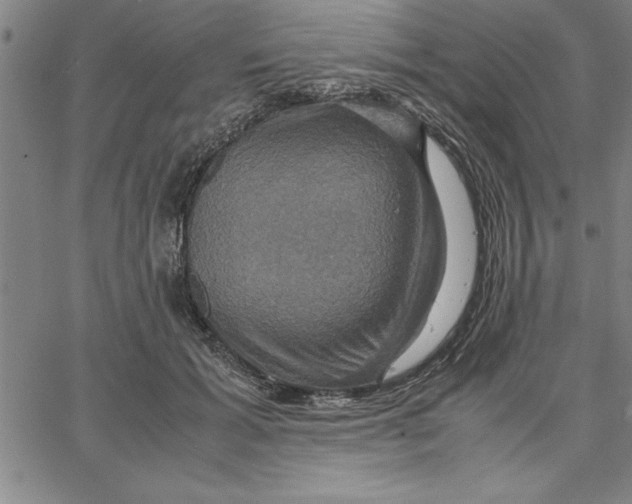 X0000066540605200604071644