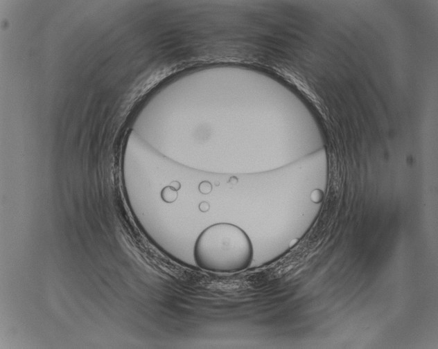 X0000066540631200604071643