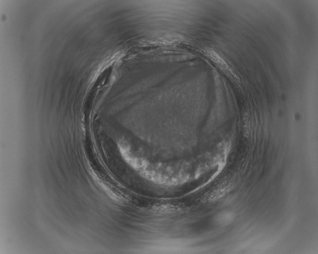 X0000066540634200604071643