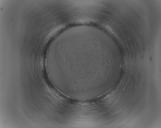 X0000066540640200604071643