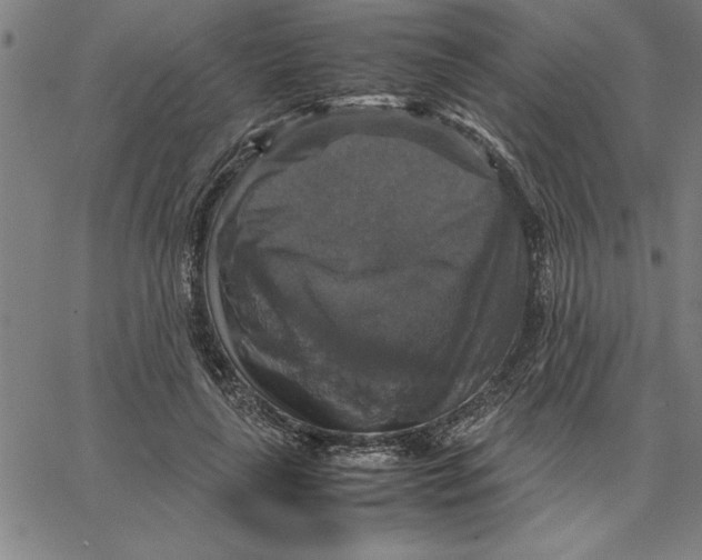 X0000066540643200604071643