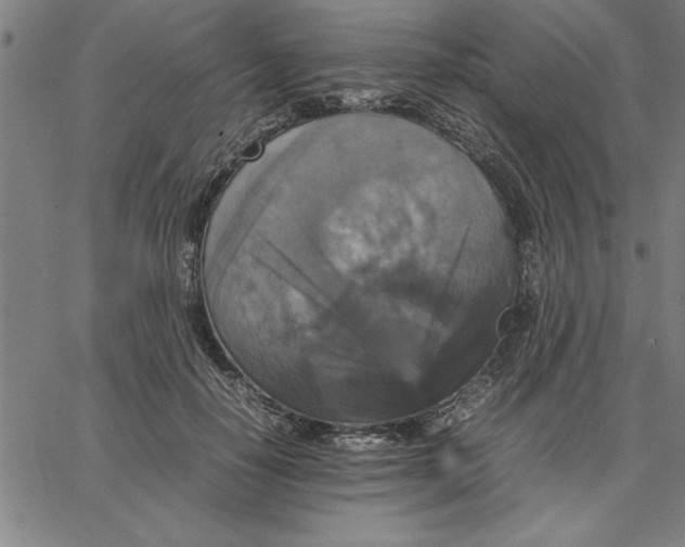 X0000066540650200604071643