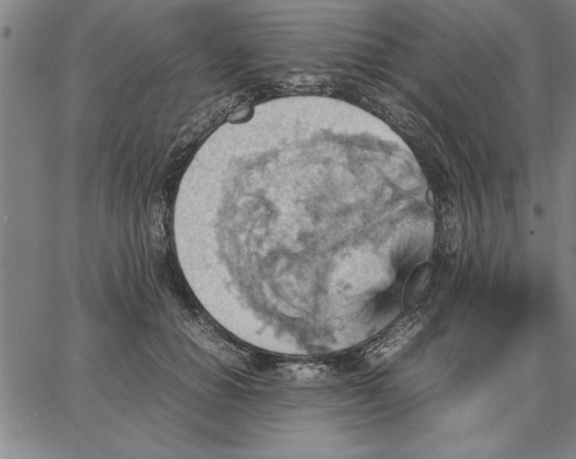 X0000066540654200604071643