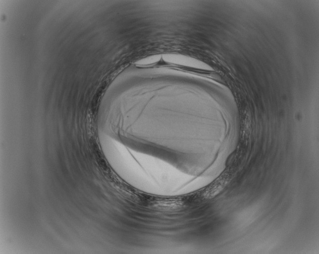 X0000066540659200604071643