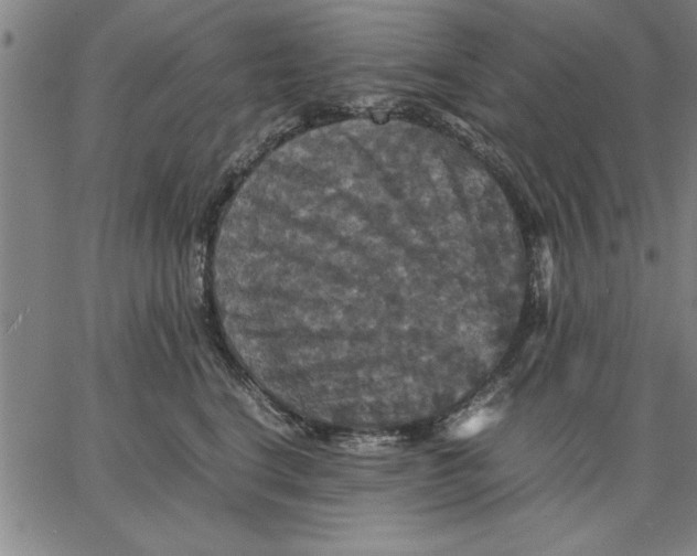 X0000066540664200604071643