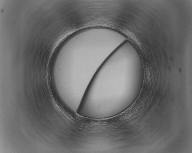X0000066540680200604071642