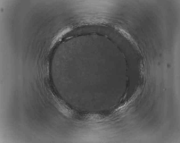 X0000066540685200604071642