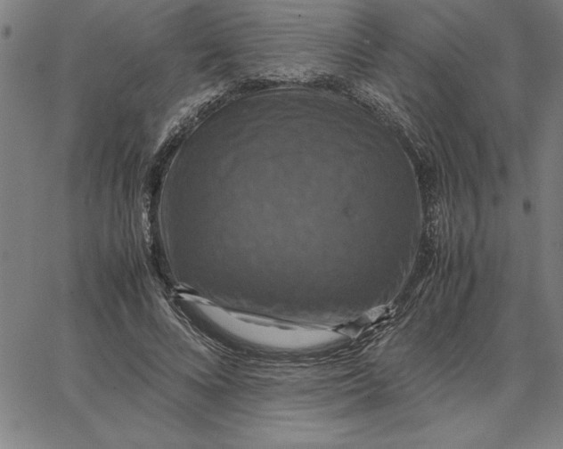 X0000066540688200604071642