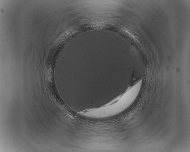 X0000066540689200604071642