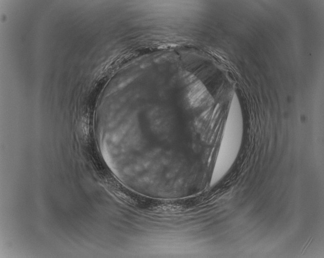 X0000066540691200604071642
