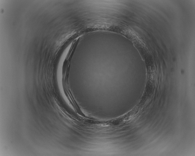 X0000066540692200604071642