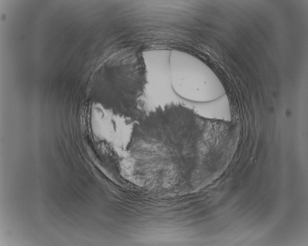 X0000066540695200604071642
