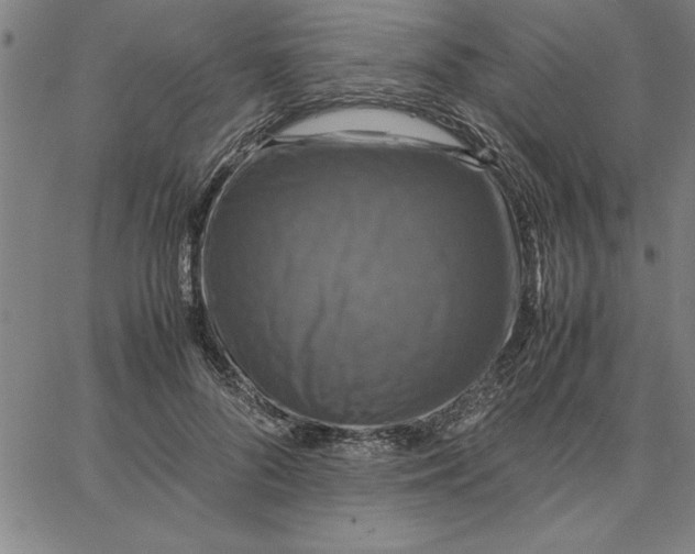 X0000066540696200604071642