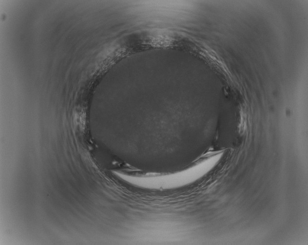 X0000066540697200604071642