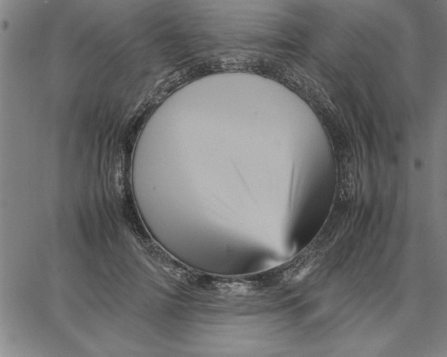 X0000066540698200604071642