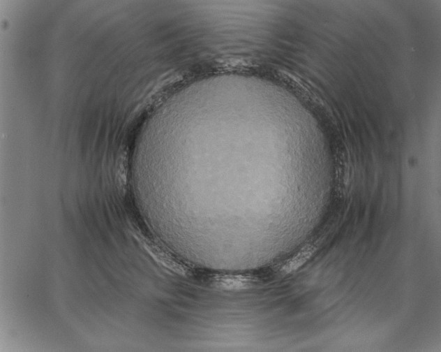 X0000066540710200604071642