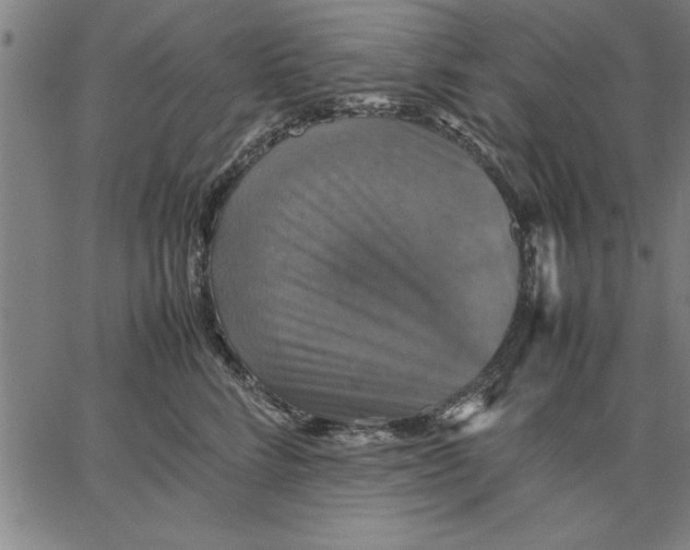 X0000066540712200604071642