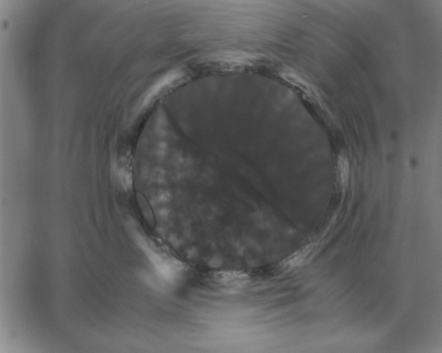 X0000066540719200604071642