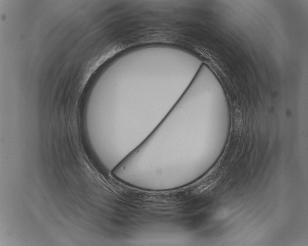 X0000066540727200604071641