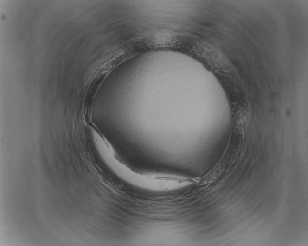 X0000066540746200604071641