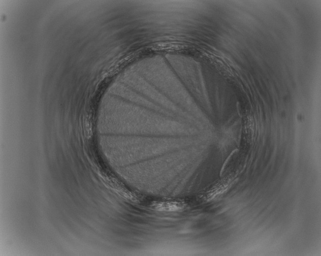 X0000066540751200604071641