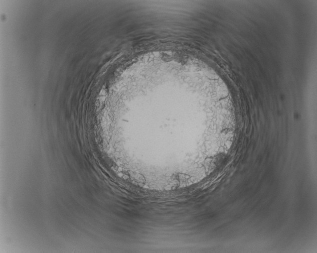 X0000066540769200604071641