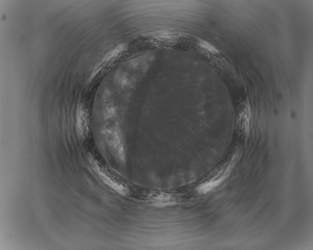X0000066540772200604071641