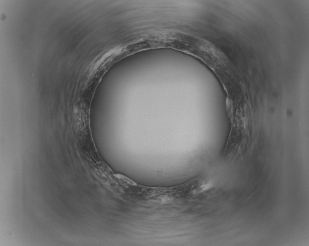X0000066540773200604071641